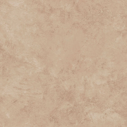 Lime Plaster
