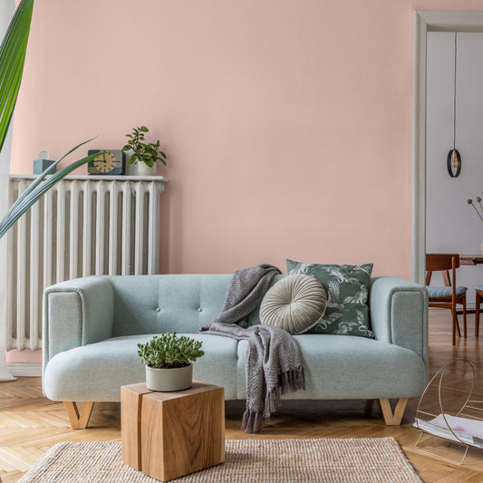 Nippon Paint Normal Painting Service