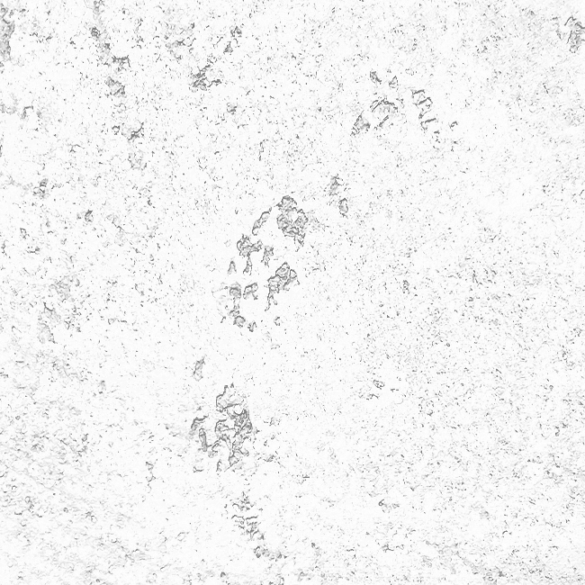Concrete